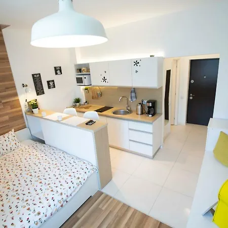 Classy Scala Studio Apartment Bukarest