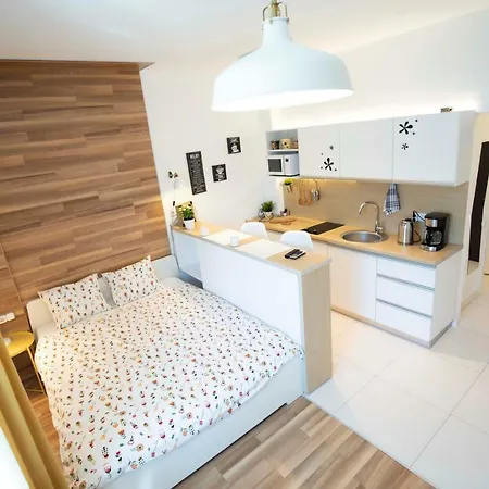 Classy Scala Studio Apartament Bukareszt