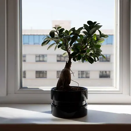 Classy Scala Studio Apartament